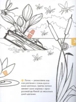 Цветы, жуки и бабочки. Объемные раскраски — изображение 6