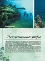 Большая книга о подводном мире. 1001 фотография — изображение 10