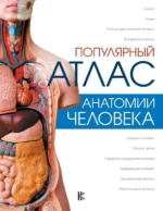 Популярный атлас анатомии человека. ЛАЗАРЕВ Н.В., ПАЛЫЧЕВА Л.Н.