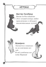 Таинственное исчезновение золотого кота — изображение 3