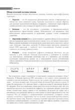 Хирагана и катакана для начинающих — изображение 6