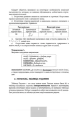 Интенсивный курс японского языка для начинающих — изображение 7