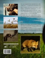 Охота. Большая энциклопедия. 17 диких зверей — изображение 2