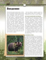 Охота. Большая энциклопедия. 17 диких зверей — изображение 6