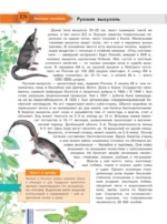 Красная книга мира — изображение 11