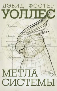 Метла системы. УОЛЛЕС Д.Ф.