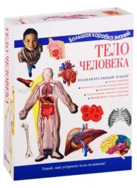 Тело человека. Познавательный набор. ТОРЧИНСКАЯ М.О.