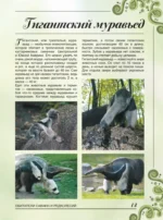 Большая книга о животных. 1001 фотография — изображение 14