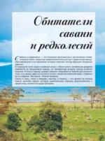 Большая книга о животных. 1001 фотография — изображение 7