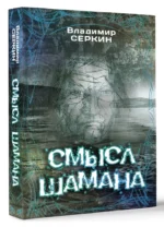 Смысл Шамана — изображение 2