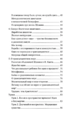 Смысл Шамана — изображение 5