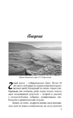 Смысл Шамана — изображение 10