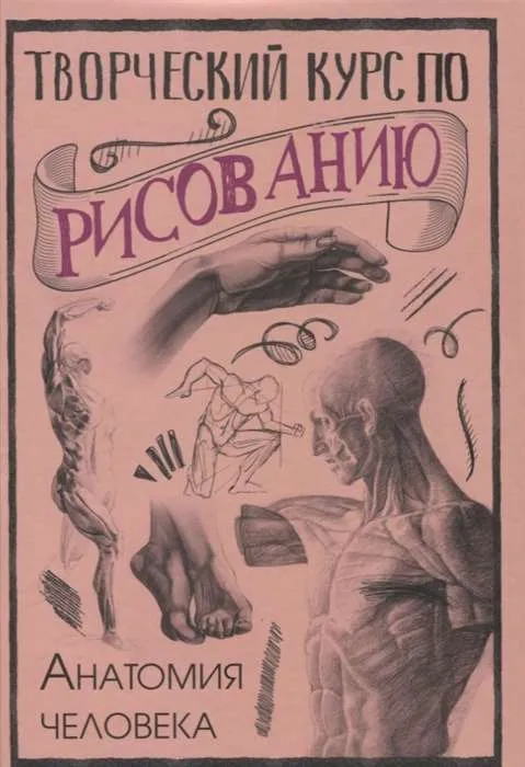 9785171168391_0.webp Творческий курс по рисованию. Анатомия человека. ГРЕЙ М.