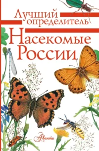 Насекомые России. Владимир Полевод, Илья Гомыранов