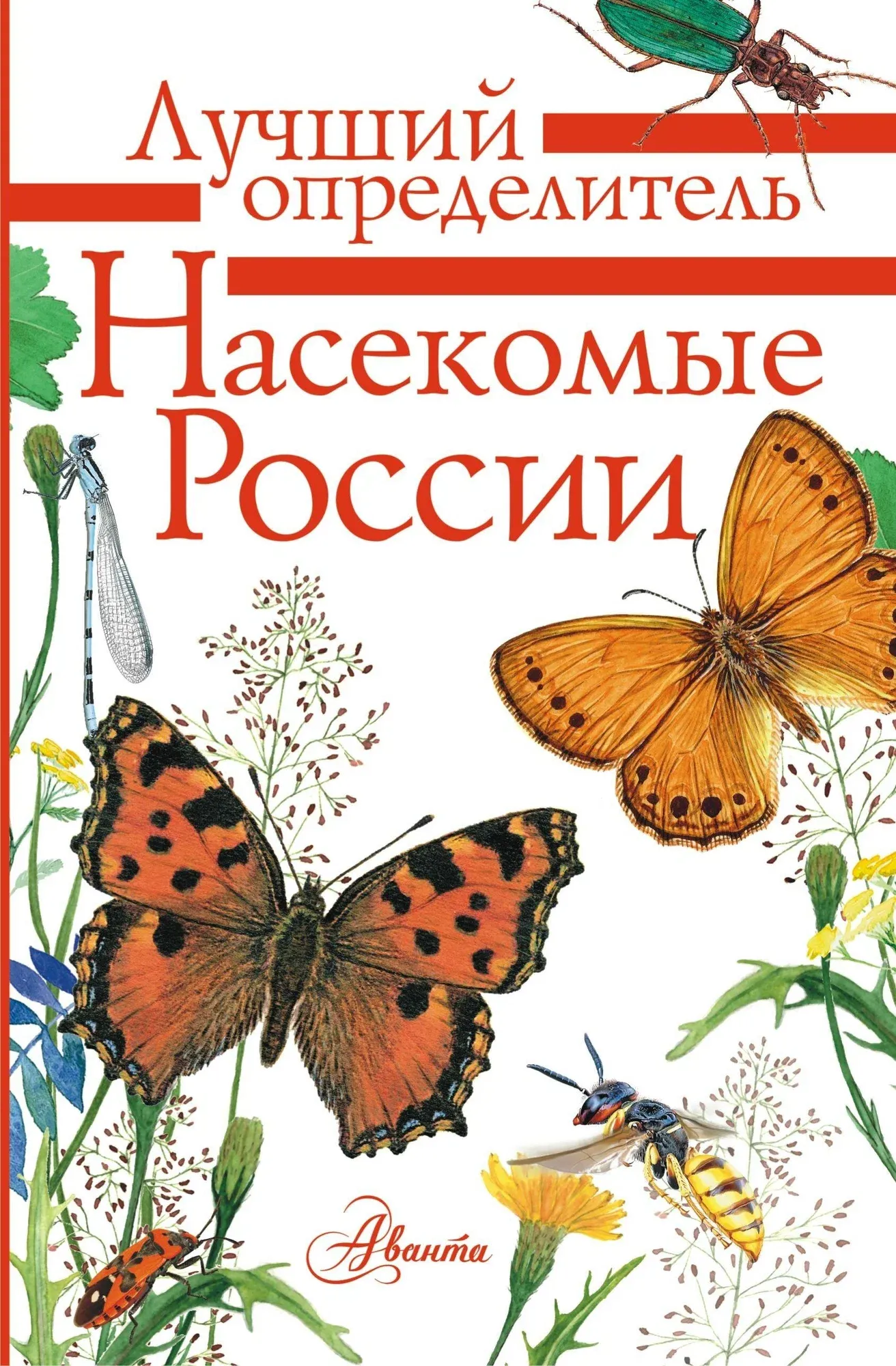 9785171175337_0.webp Насекомые России. Владимир Полевод, Илья Гомыранов