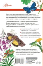 Насекомые России — изображение 2