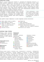 Насекомые России — изображение 3
