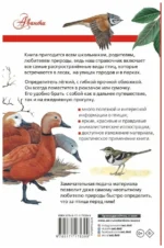 Птицы России — изображение 3