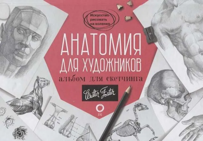 9785171197360_0.webp Анатомия для художников. Альбом для скетчинга. .