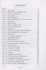 Хроники небесных лошадок. Стражники магии — изображение 3