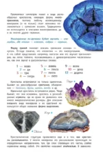 Минералы России. Определитель — изображение 7