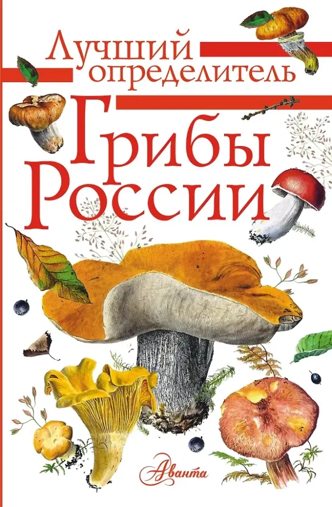 9785171230289_0.webp Грибы России. Определитель. Станислав Кривошеев