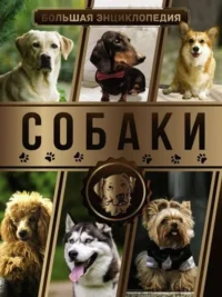Большая энциклопедия. Собаки. БАРАНОВСКАЯ И., ВАЙТКЕНЕ Л.