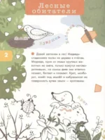 Лесные звери и птицы. Объемные раскраски — изображение 6