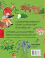 Красная Шапочка и тайны леса — изображение 5