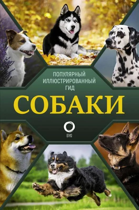 9785171347468_0.webp Собаки. Популярный иллюстрированный гид. БАРАНОВСКАЯ И.Г., ВАЙТКЕНЕ Л.Д
