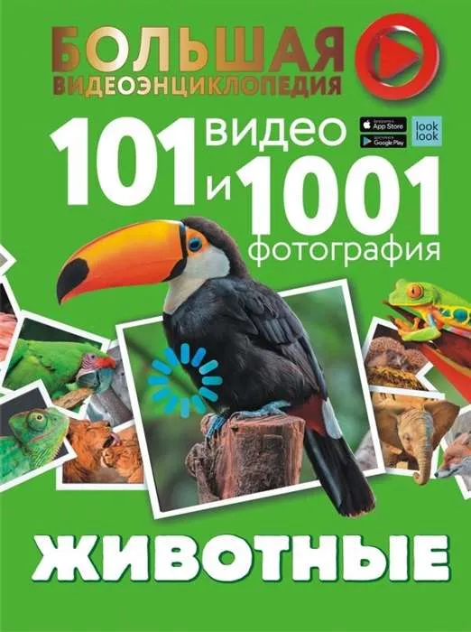 9785171352677_0.webp Животные. 101 видео и 1001 фотография. ВАЙТКЕНЕ Л.Д., ХОМИЧ Е.О.