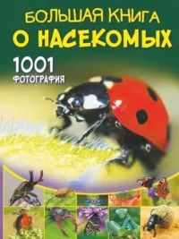 Большая книга о насекомых. 1001 фотография. СПЕКТОР А.А.