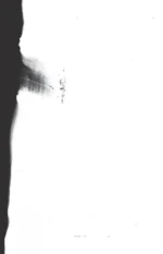 Пикник на обочине - Братьев Стругацких — изображение 3