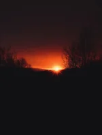 Одна ночь в зимнем саду — изображение 4