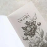 Магическое безумие — изображение 4