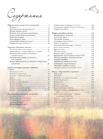 Цвет — изображение 5