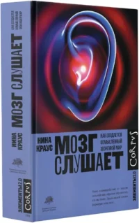 Мозг слушает — Биология и природа
