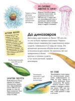 Динозавры — изображение 6