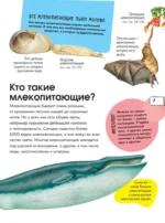 Животные — изображение 4
