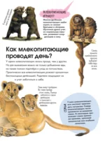 Животные — изображение 6