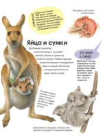 Животные — изображение 8