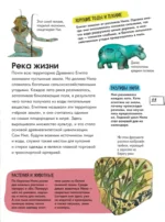 Древний Египет — изображение 8