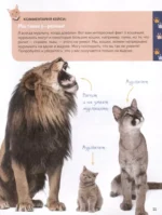 Кошки. Полное руководство для детей — изображение 11