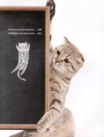 Кошки. Полное руководство для детей — изображение 4