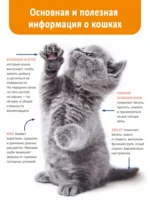 Кошки. Полное руководство для детей — изображение 6