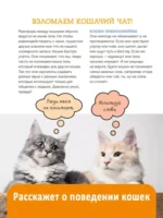 Кошки. Полное руководство для детей — изображение 7