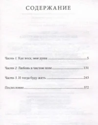 Высокая небесная лестница — Современная зарубежная литература
