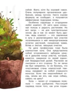 Тайна покинутого сада — изображение 15