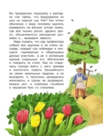 Тайна покинутого сада — изображение 8