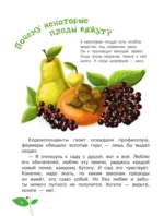 Тайна покинутого сада — изображение 9